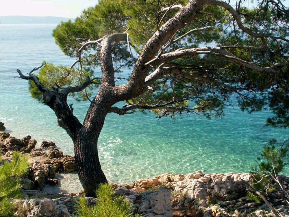 Apartmani Milka I Jozo Omiš Exterior foto